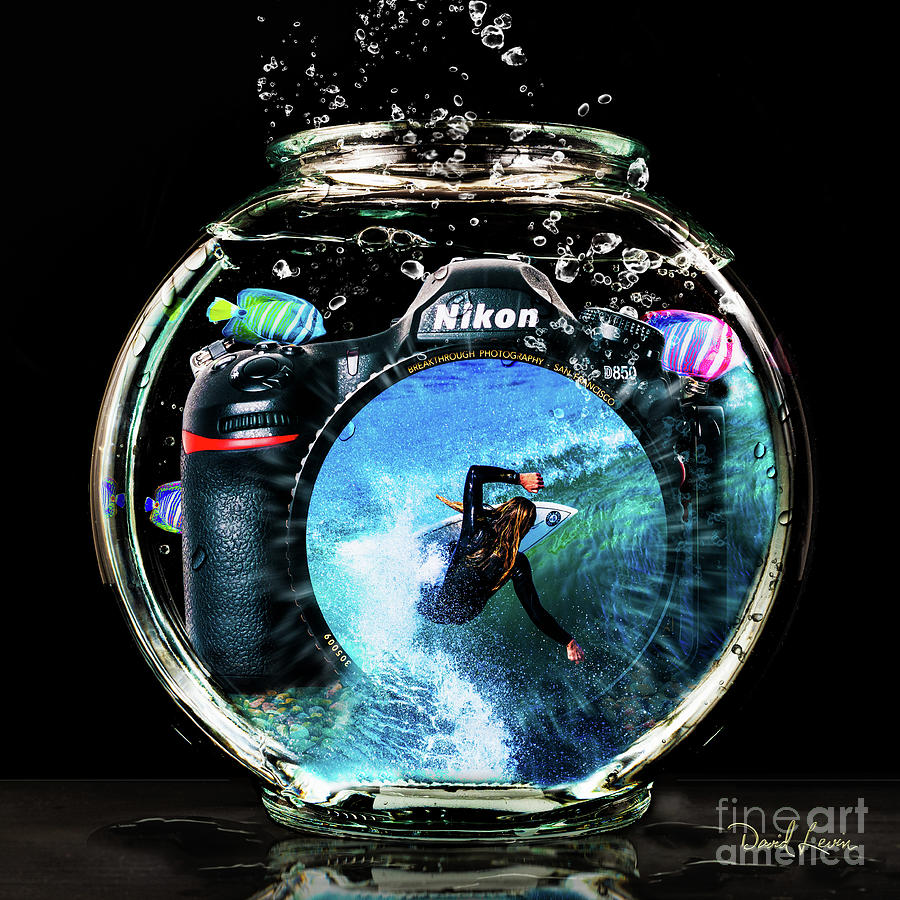 Captured and Preserved in Camera and Fishbowl Photograph by David Levin