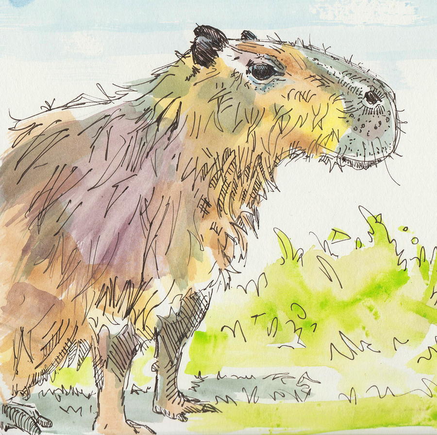 Capybara sitting down watercolor painting Painting by Mike Jory