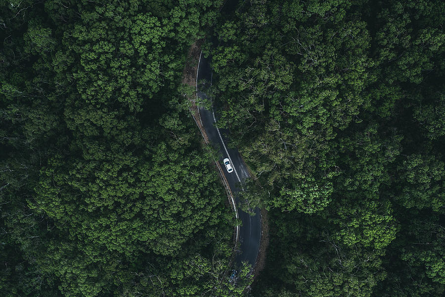 Car driving through a forest as seen from above, South Australia Photograph by Abstract Aerial Art Car driving through a forest as seen from above, South Australia Photograph by Abstract Aerial Art