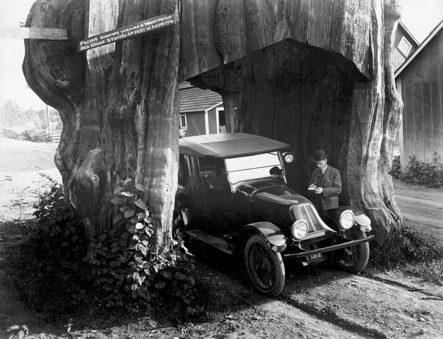 Car Driving Through Tree Stump - Pacific Coast Highway - 1920 Photograph by War Is Hell Store