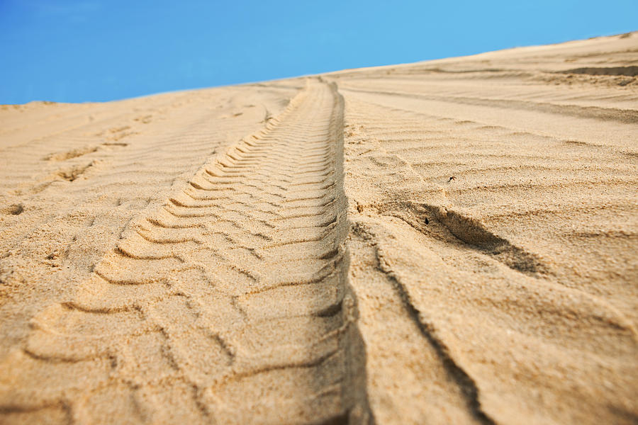 Car tracks on sand Photograph by MediaProduction