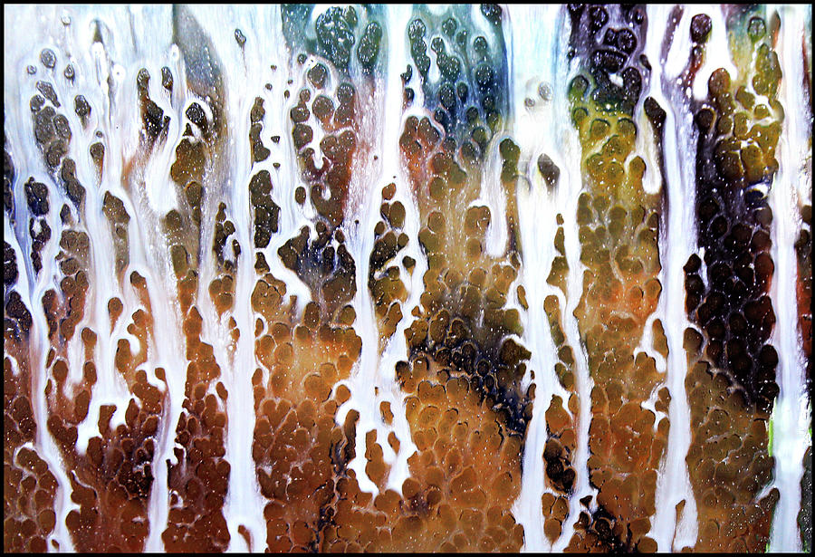 Car Washing Photograph by Angelika Vogel
