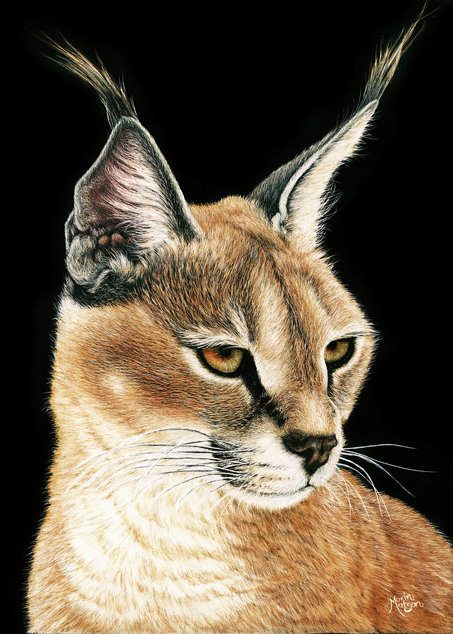 Caracal Painting by Monique Morin Matson