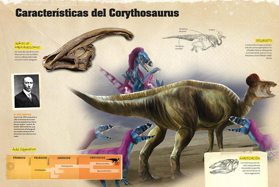 Caracteristicas del Corythosaurus Digital Art by Album