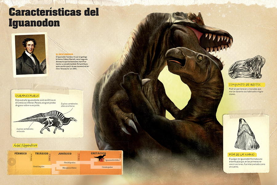 Caracteristicas del Iguanodon Digital Art by Album