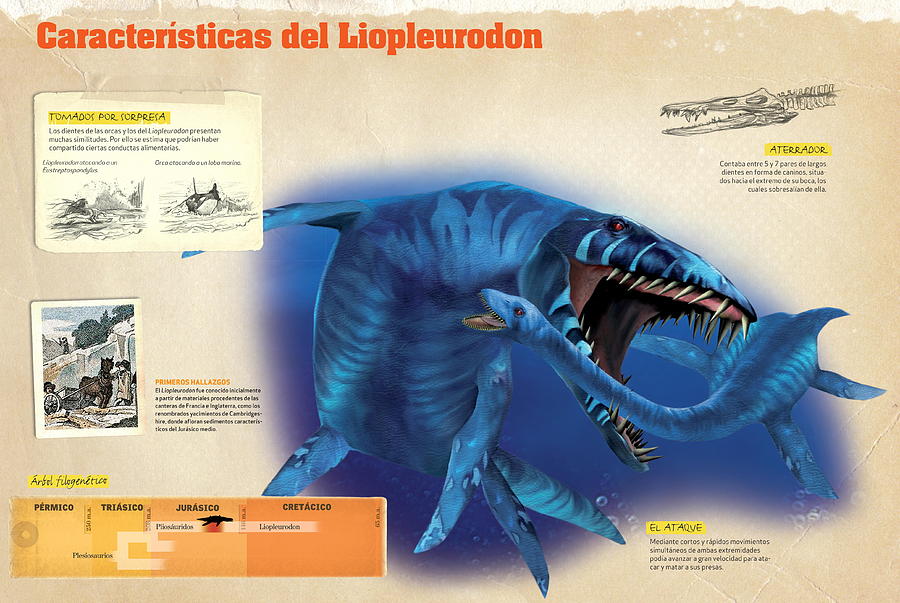 Caracteristicas del Liopleurodon Digital Art by Album