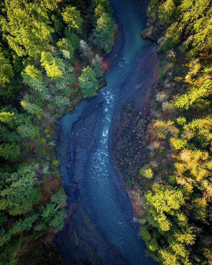 Carbon River  Photograph by Clinton Ward