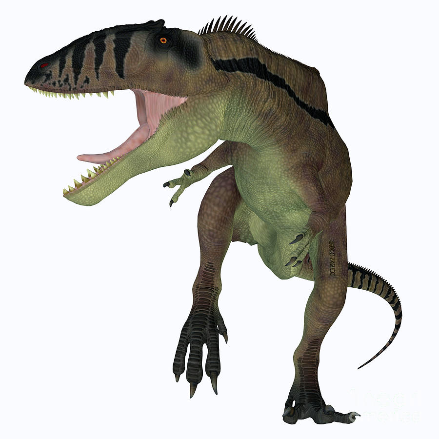 Carcharodontosaurus Carnivore Dinosaur Digital Art by Corey Ford