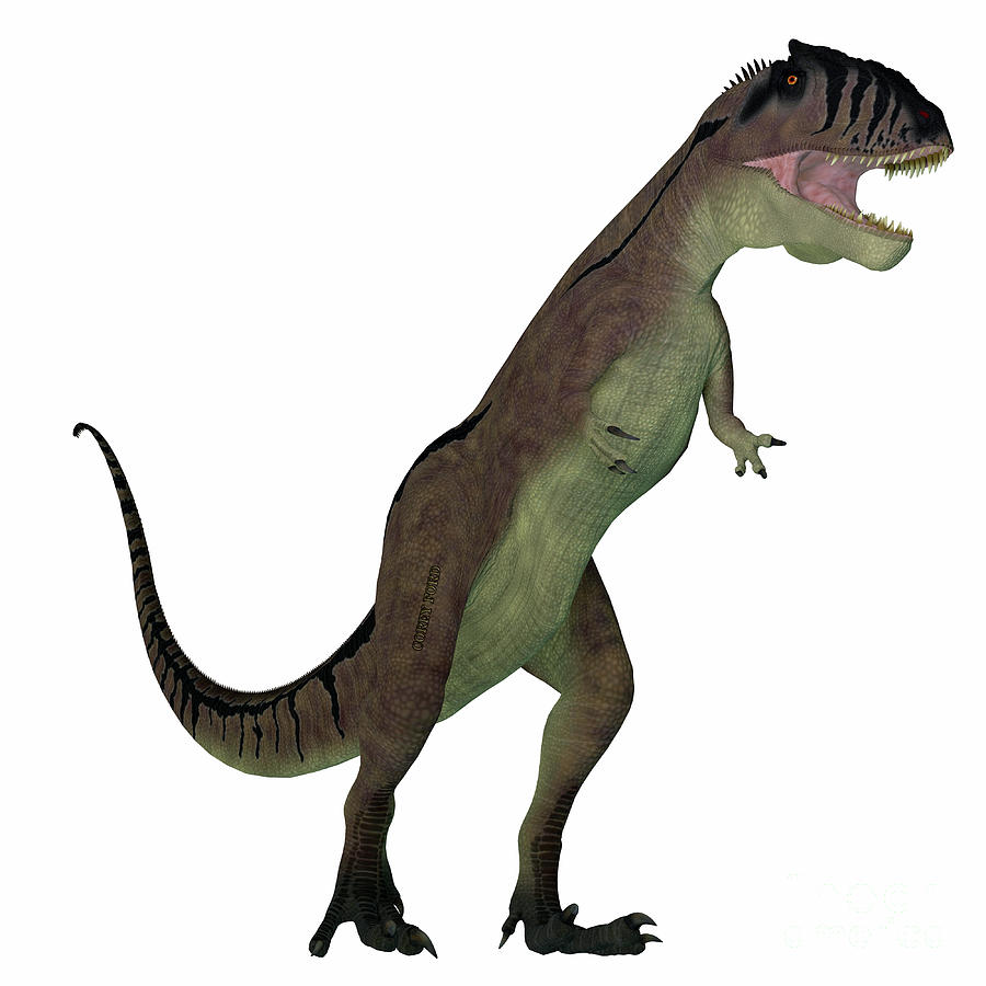 Carcharodontosaurus Dinosaur on White Digital Art by Corey Ford