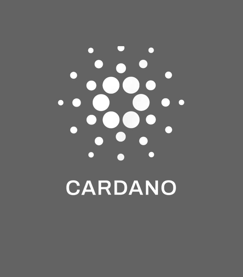 CARDANO Crypto Digital Art by Dhruv Zainab - Fine Art America