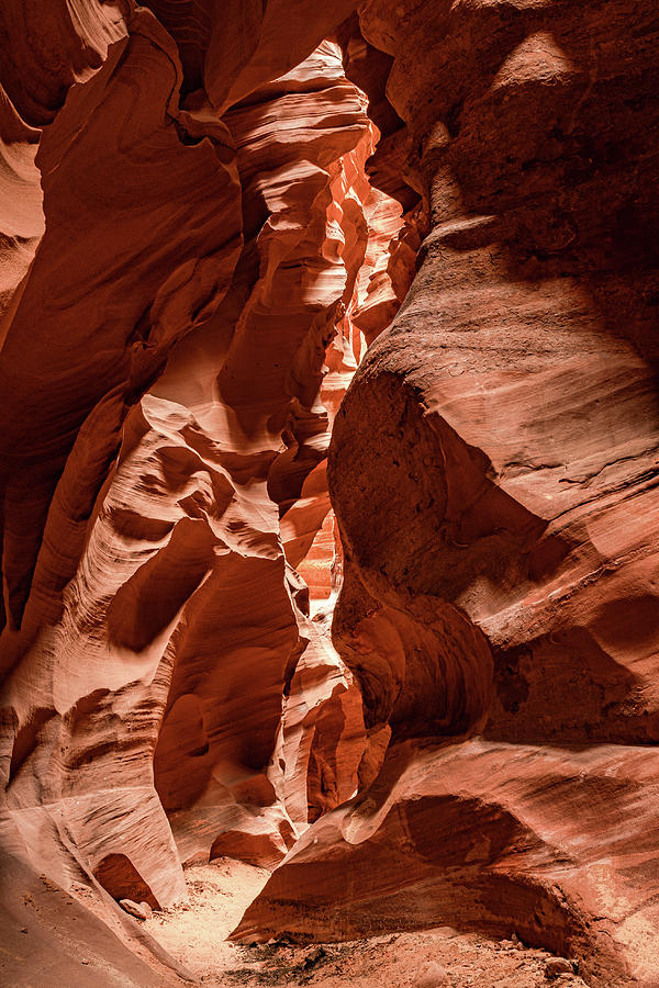 Desert Photograph - Cardiac Canyon 11 by Kelly Kennon