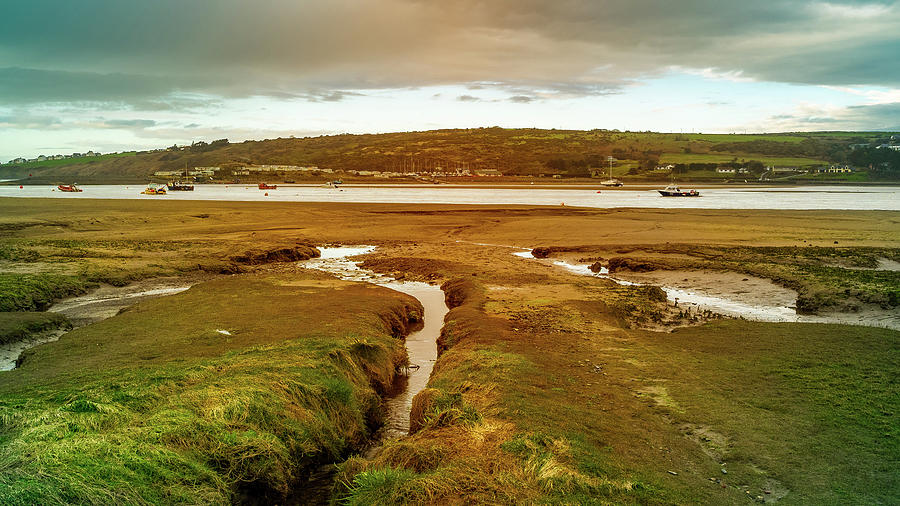 Cardigan Bay Estuary Photograph by Mark Llewellyn