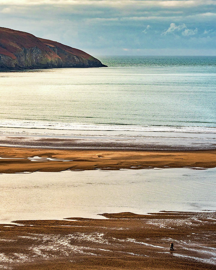 Cardigan Estuary Photograph by Mark Llewellyn