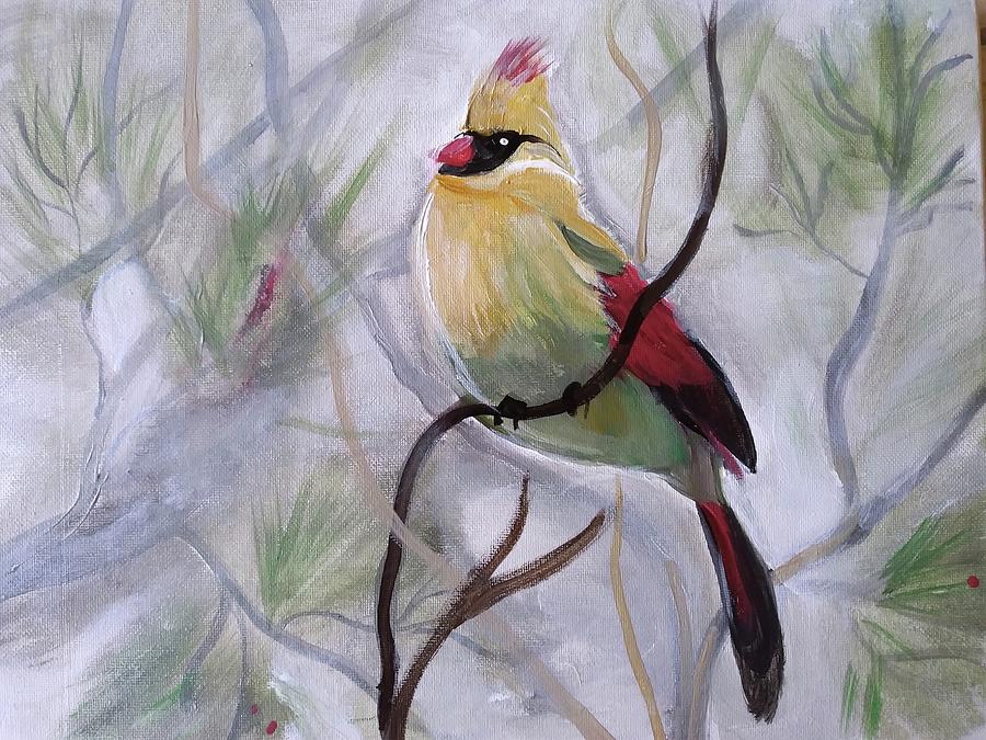 Cardinal  Painting by Barbara Fincher