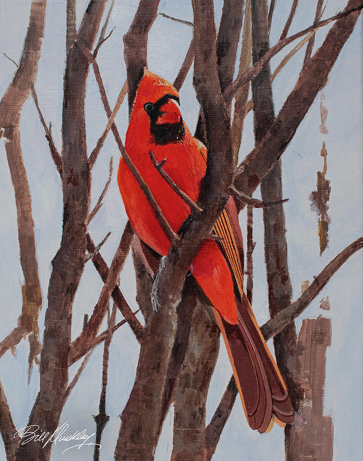 Cardinal Painting by Bill Dunkley