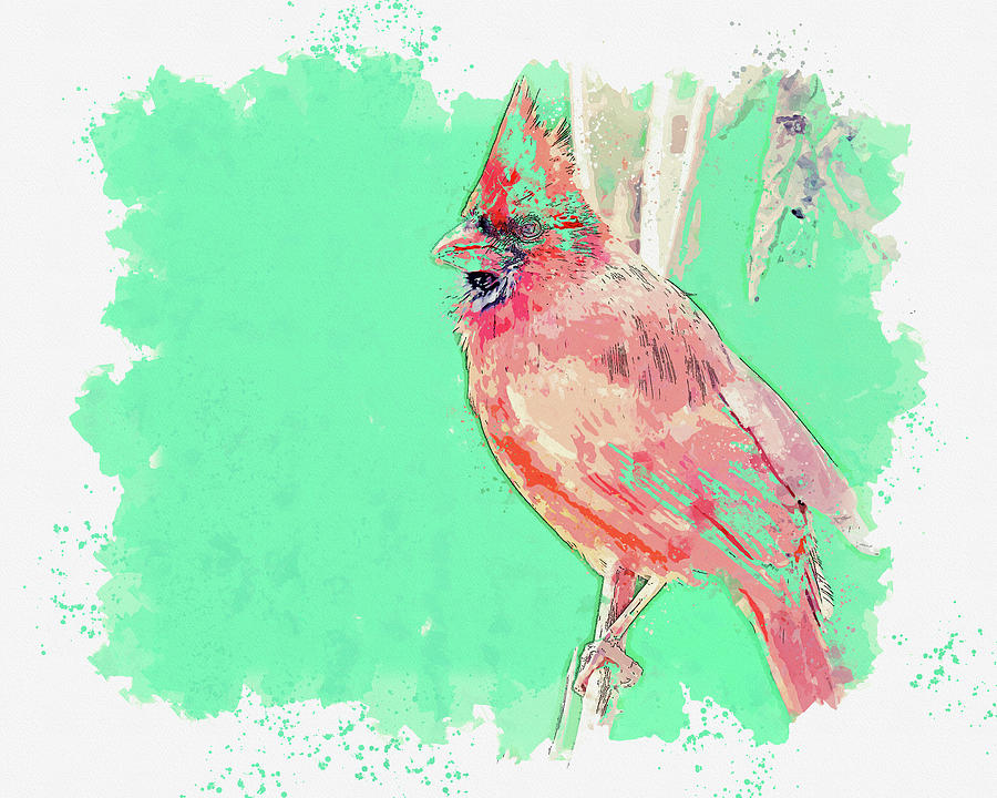 Cardinal Bird, Ca 2021 By Ahmet Asar, Asar Studios Painting