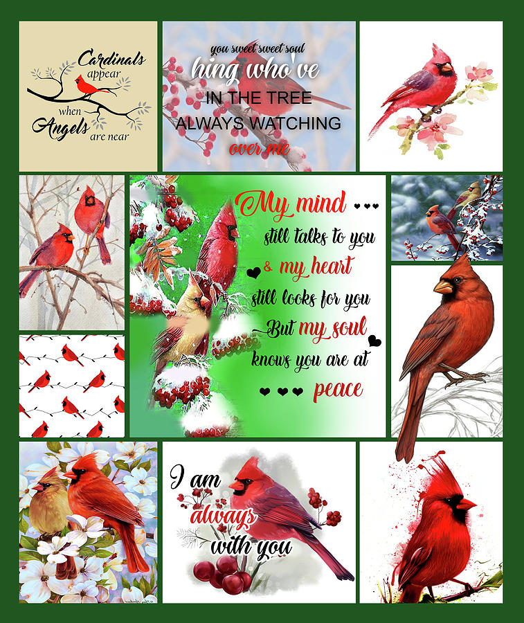 Cardinal Digital Art - Cardinal Bird My Mind Still Talks To You by Michelle Gradwell Art