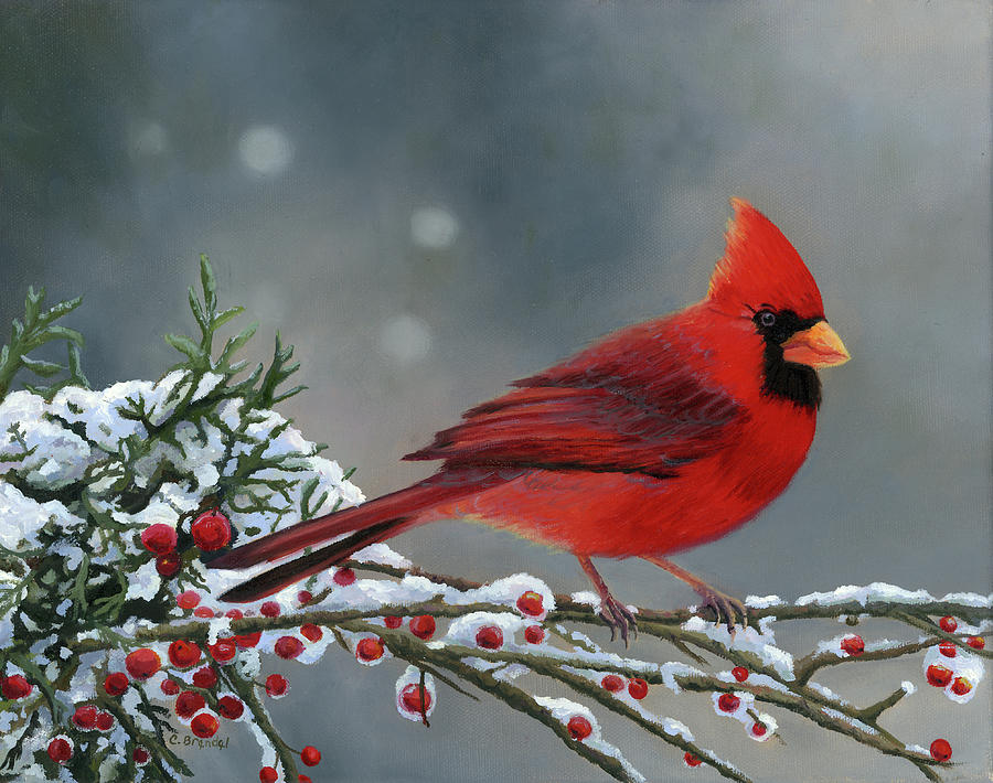 Cardinal Painting by Cecilia Brendel