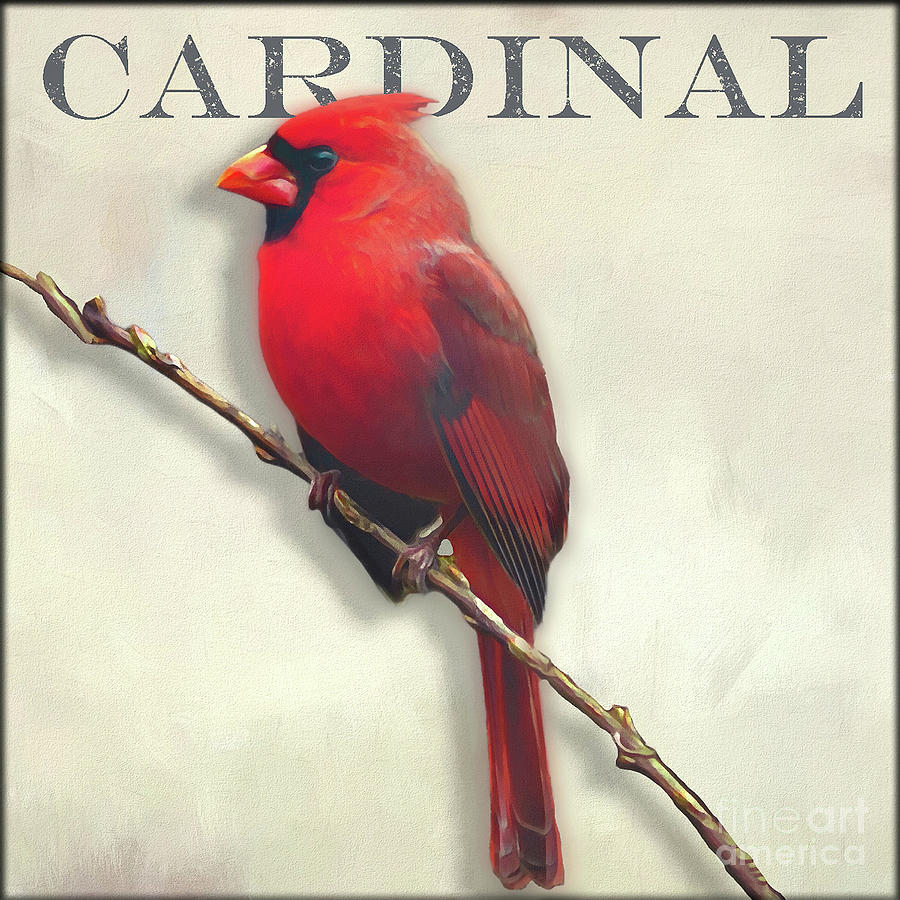 Cardinal Painting by Denise Dundon