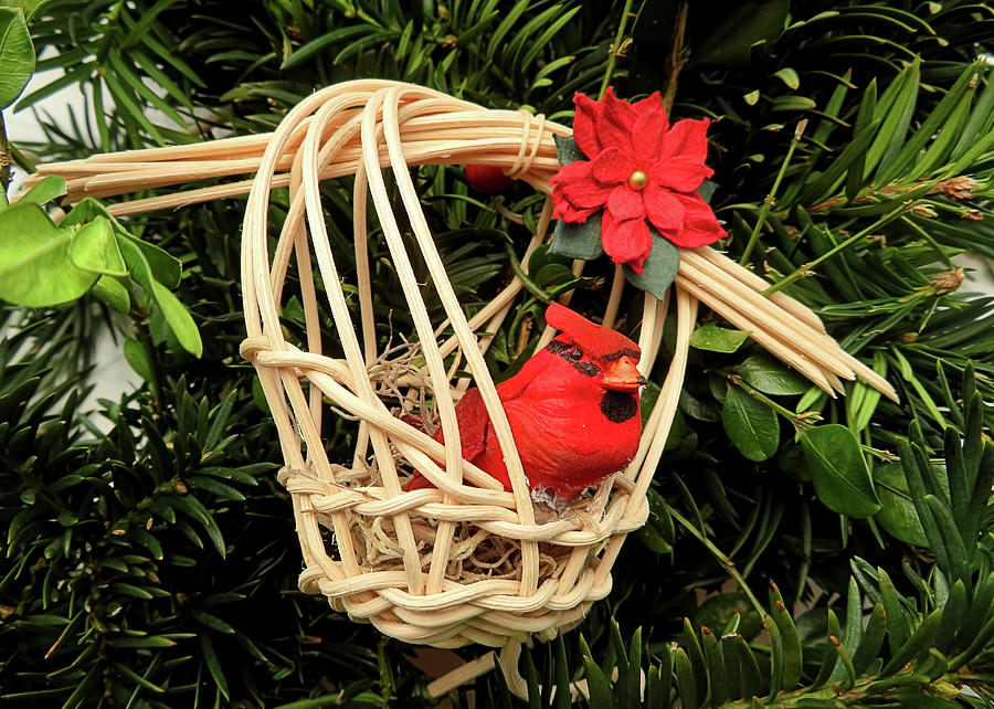 Cardinal In A Basket Photograph