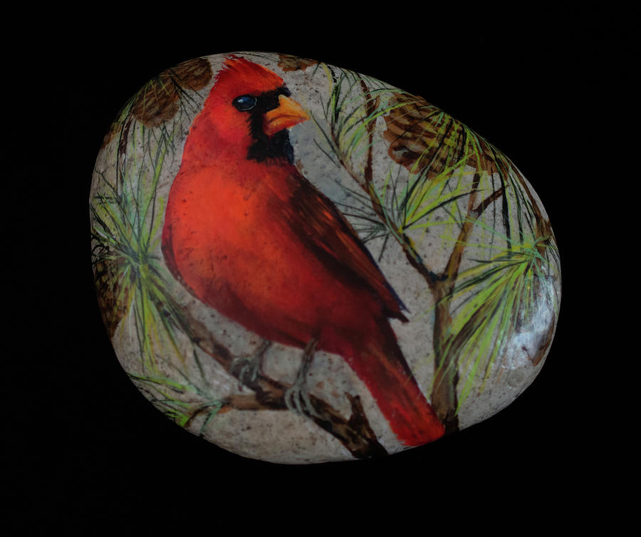 Cardinal in pine tree Painting by Nancy Lauby