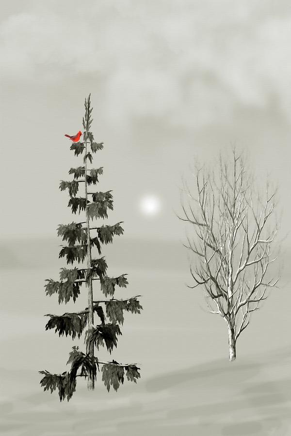 Cardinal In The Pine Mixed Media by David Dehner