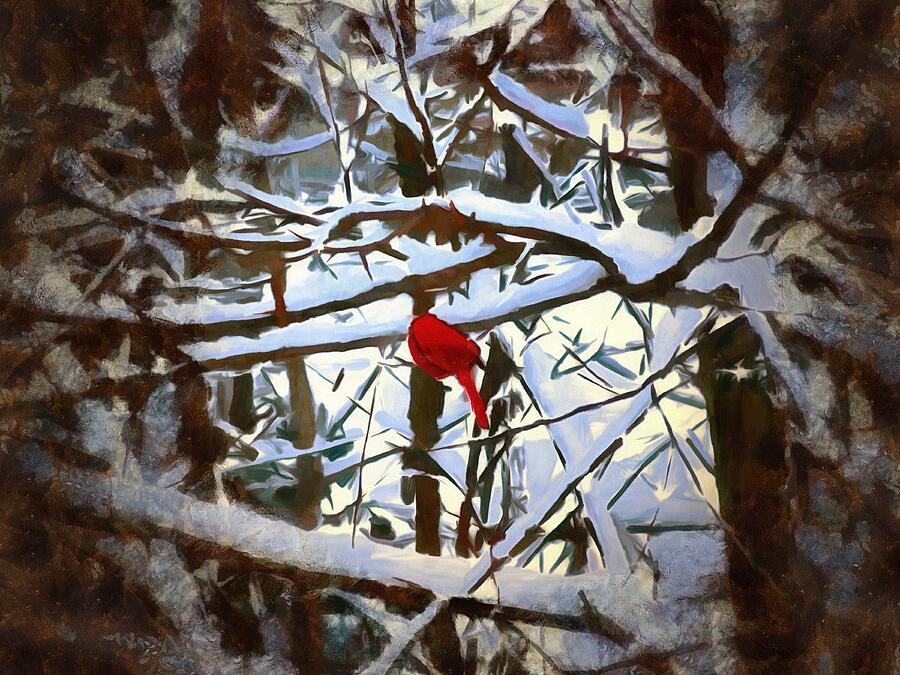 Cardinal in the Snowy Trees Mixed Media by Christopher Reed