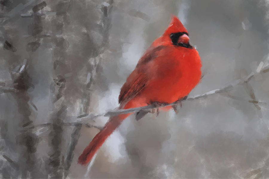 Cardinal in Winter Painting by Gary Arnold