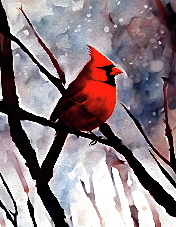 Cardinal In Winter  Digital Art by Leslie Montgomery