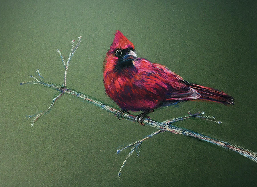 Cardinal Pastel - Cardinal in Winter by Susan Brooks