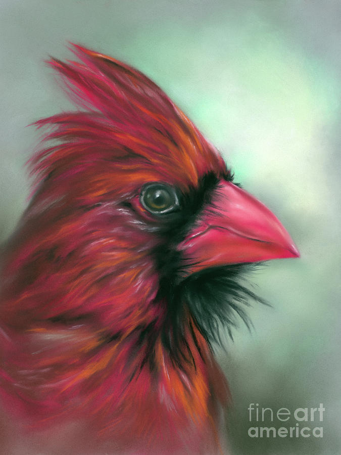 Cardinal Male Songbird Portrait Painting by MM Anderson