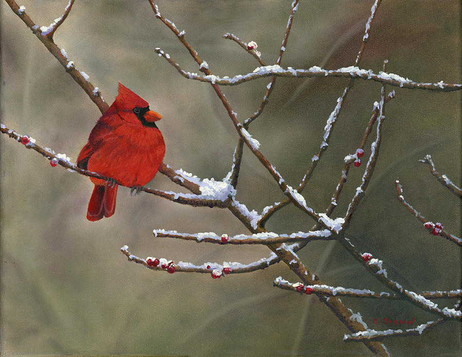 Cardinal on Branch Painting by Cecilia Brendel