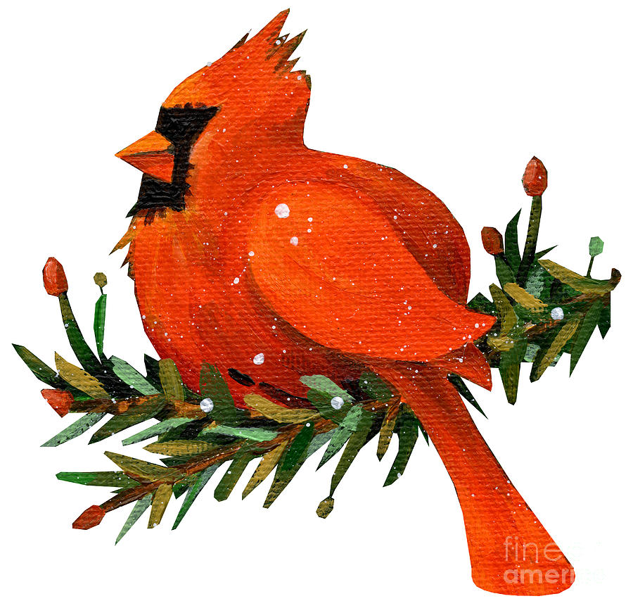 Cardinal on Pine Branch Painting by Annie Troe