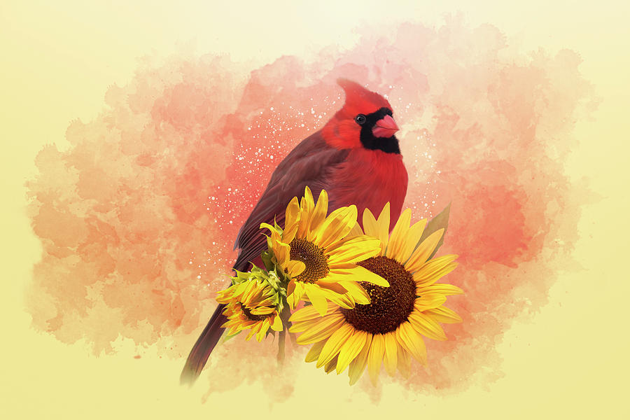 Cardinal on Sunflowers Mixed Media by Patti Deters