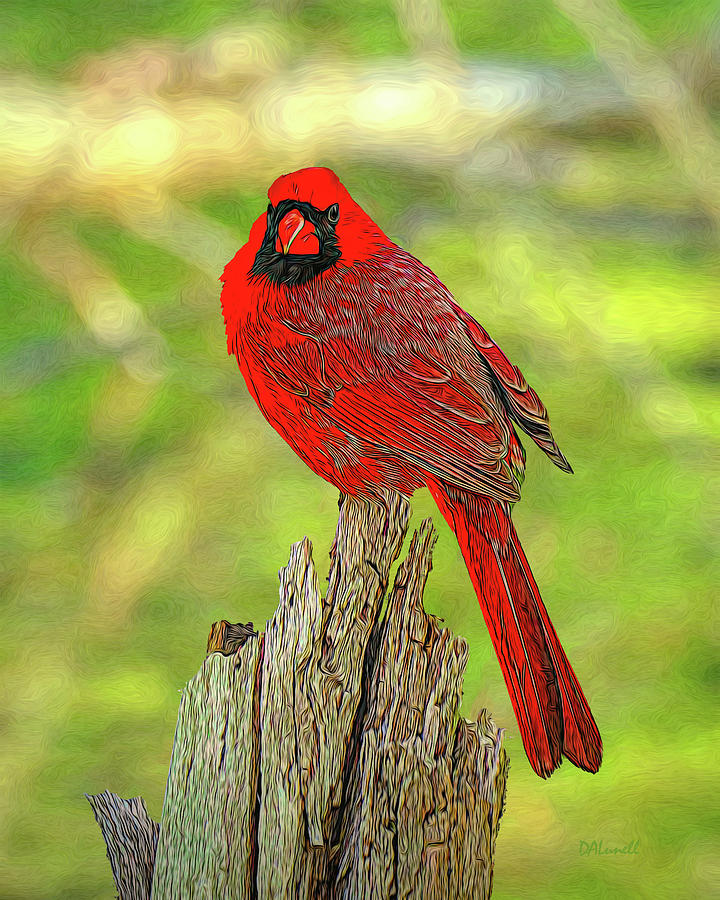 Cardinal Portrait Digital Art by Dennis Lundell