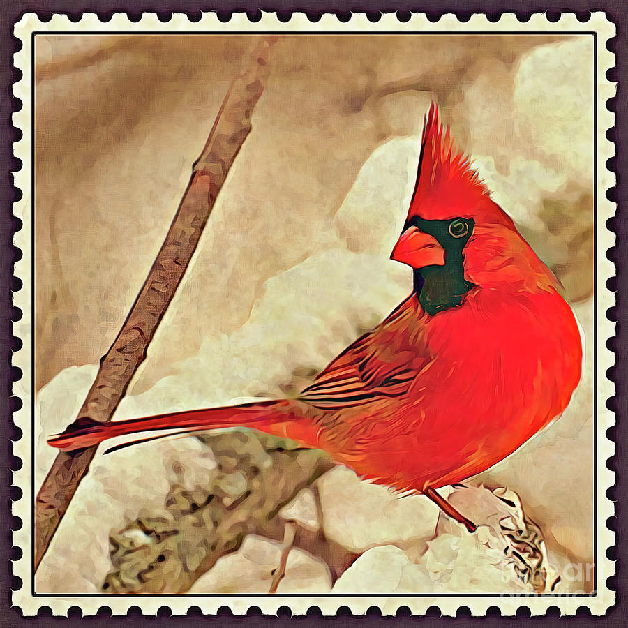 Cardinal Postage Stamp Painting by Denise Dundon