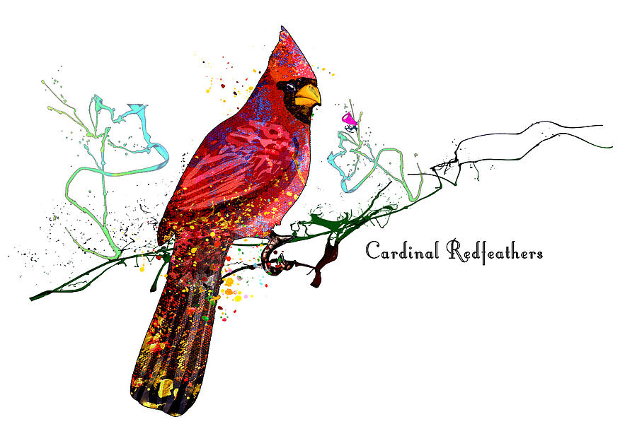 Cardinal Redfeathers Mixed Media by Miki De Goodaboom