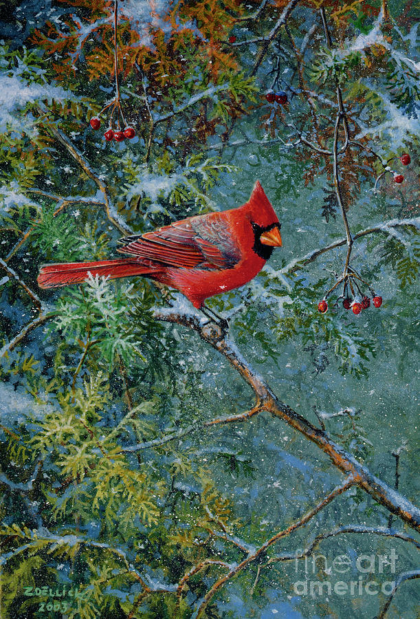 Cardinal Painting by Scott Zoellick