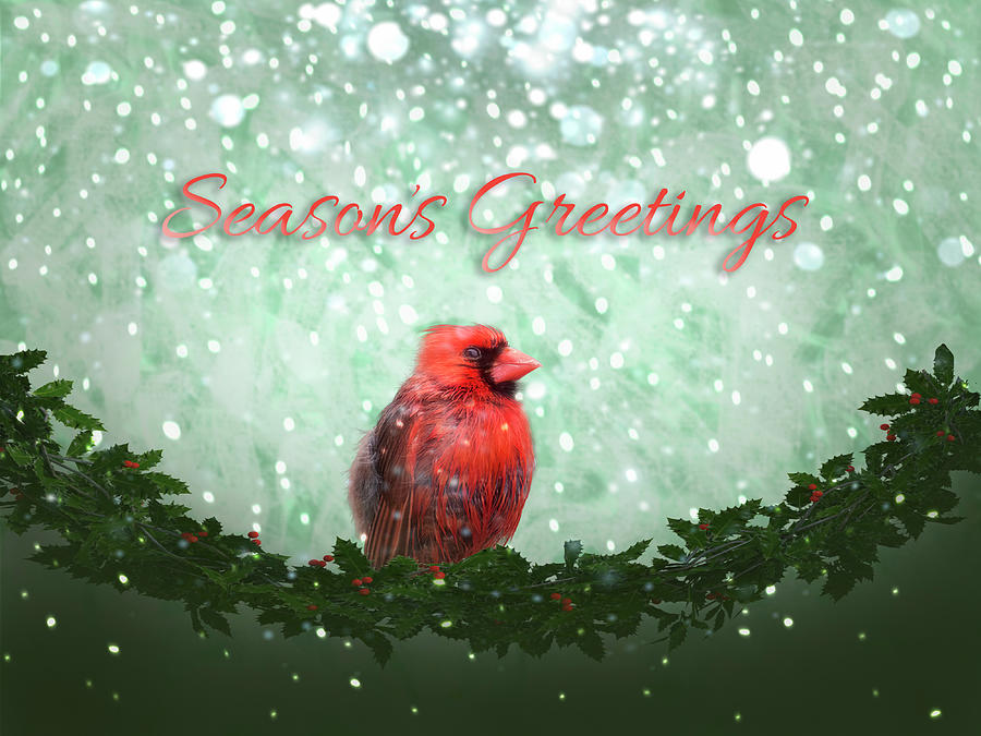 Cardinal Seasons Greetings Mixed Media by Patti Deters