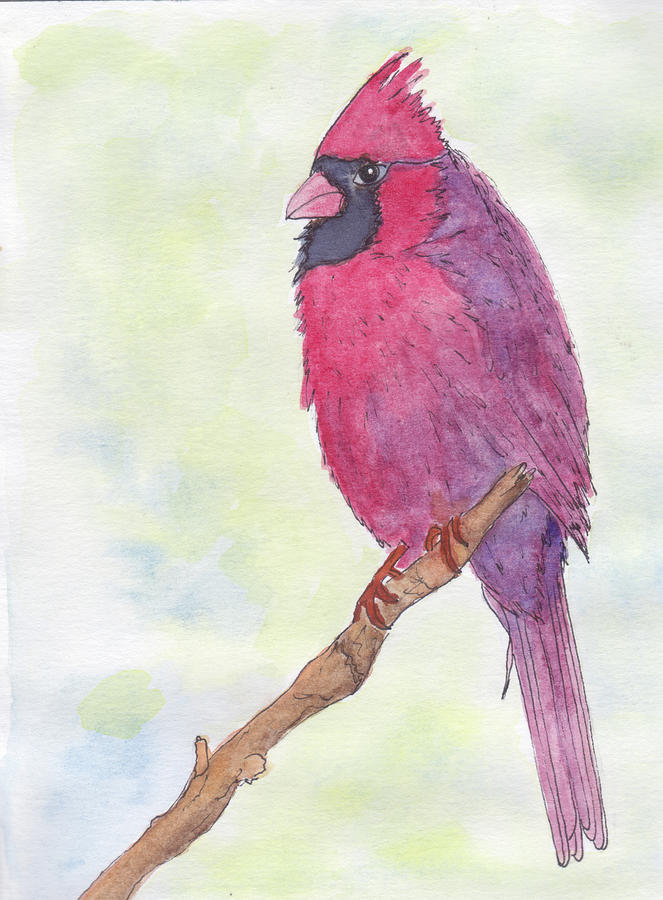 Cardinal Visiting Painting by Anne Katzeff