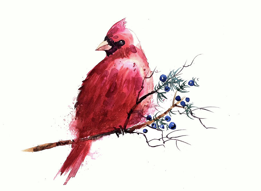 Cardinal watercolor 3 Painting by George Jacob