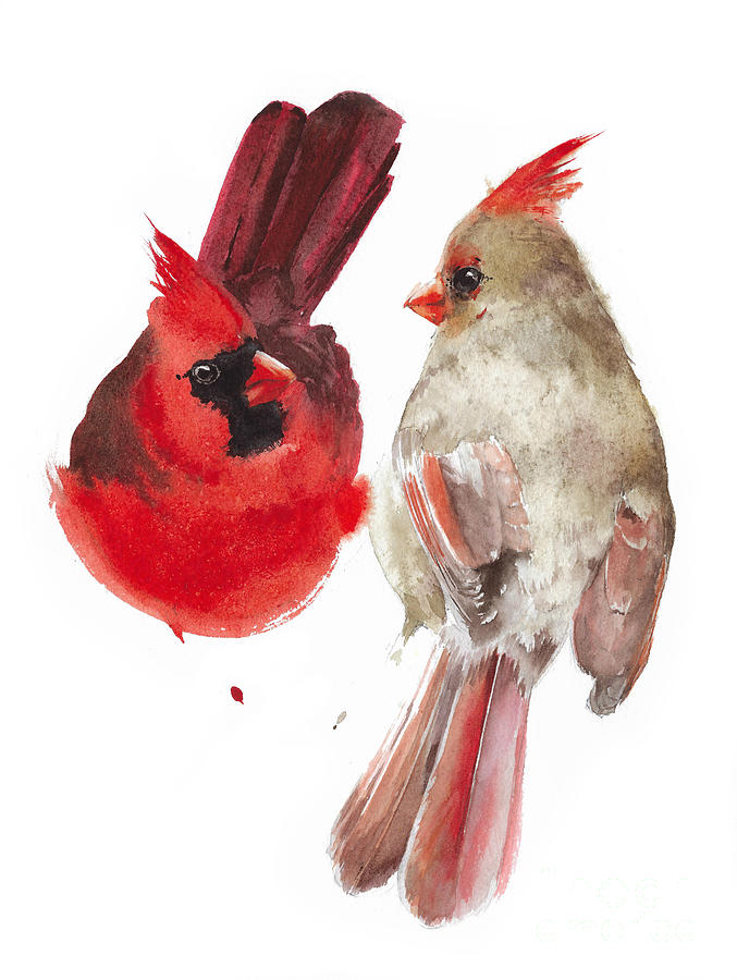 Cardinals birds watercolor art Painting by Yulia Shevchenko - Fine Art ...