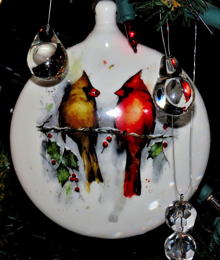 Cardinals in Love at Christmas Photograph by Linda Stern