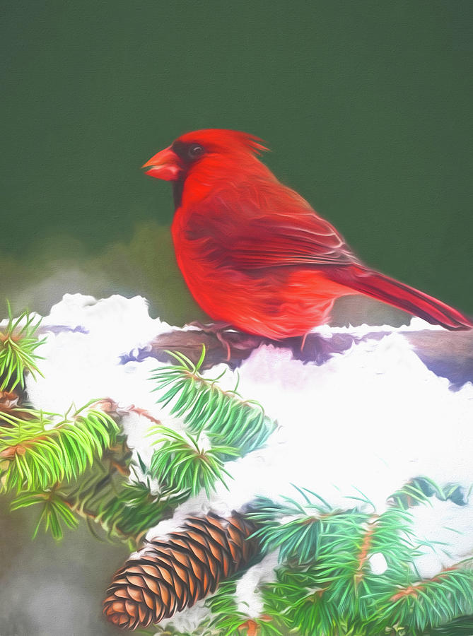 Cardinals Snowy Perch Mixed Media by Dennis Cox Photo Explorer