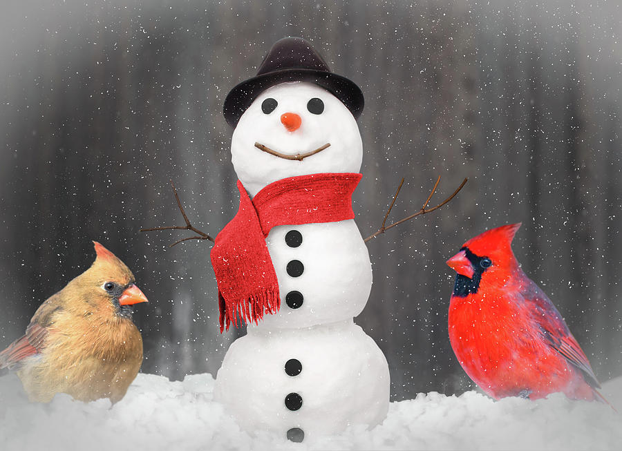 Cardinals with Snowman Photograph by Michelle Wittensoldner