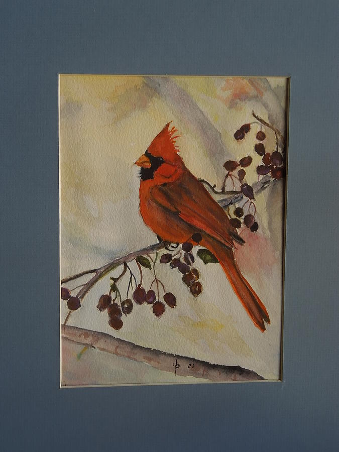 Bird Painting - Cardinel by John Pirnak