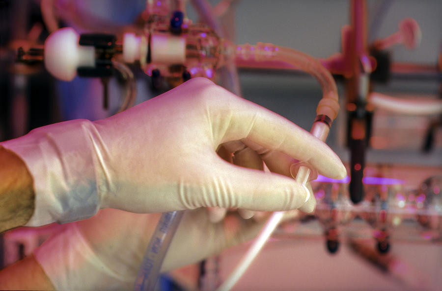 Cardiovascular research scientist putting a buffer solution in experiment apparatus Photograph by Pierre Longnus Cardiovascular research scientist putting a buffer solution in experiment apparatus Photograph by Pierre Longnus