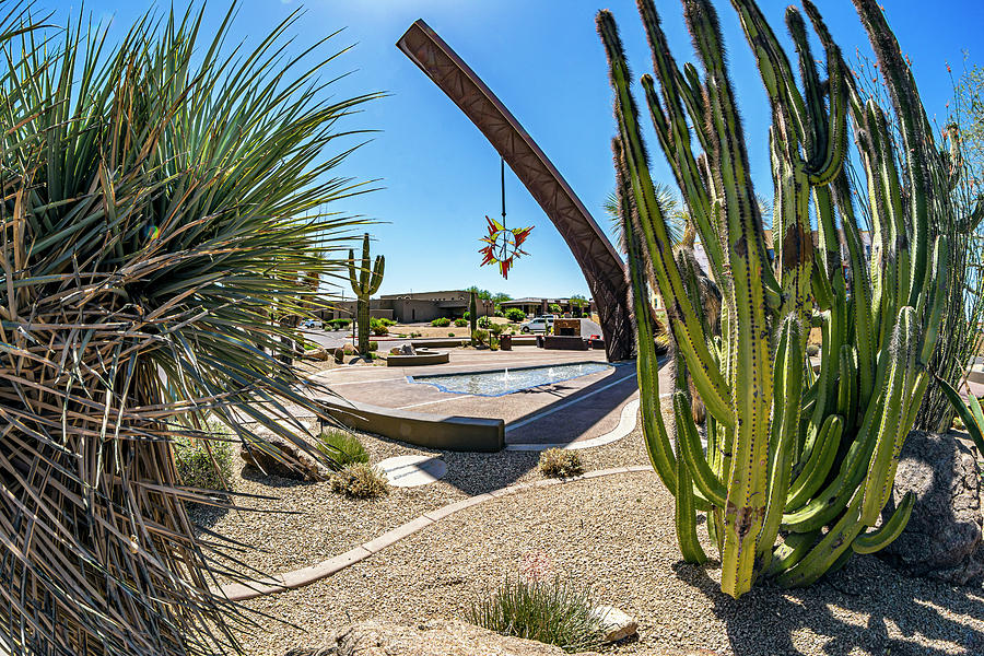 Carefree Desert Garden 3 Photograph by Lonnie Paulson