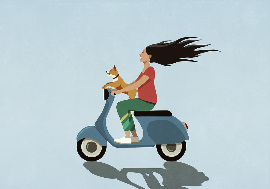 Carefree woman with dog driving motor scooter Drawing by Malte Mueller