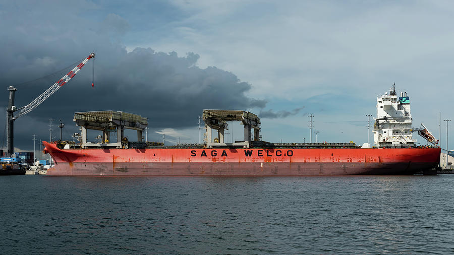 Cargo Ship Sago Fjiord at Pier Photograph by Bradford Martin